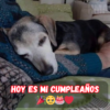 ¡Brindemos! Feliz Cumpleaños con Amor, Felicidad y Toda la Alegría Posible! 🥂💖