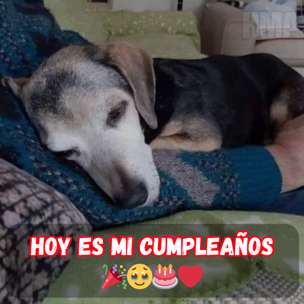 ¡Brindemos! Feliz Cumpleaños con Amor, Felicidad y Toda la Alegría Posible! 🥂💖