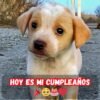 ¡Feliz Cumpleaños! Hoy y Siempre Mereces Sentirte Especial, Apreciado y Lleno de Bendiciones