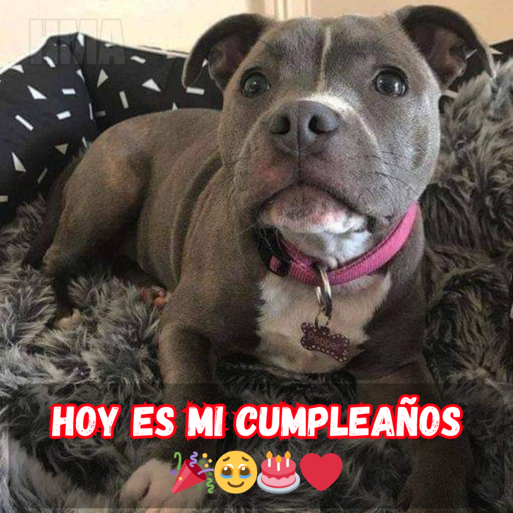 ¡Feliz Cumpleaños Lleno de Amor! ¡Te Deseo lo Mejor en Este Día Tan Especial! 💖🎉