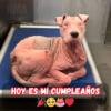 ¡Hoy cumplo años y todavía no he recibido ningún mensaje de felicitación!.hanh