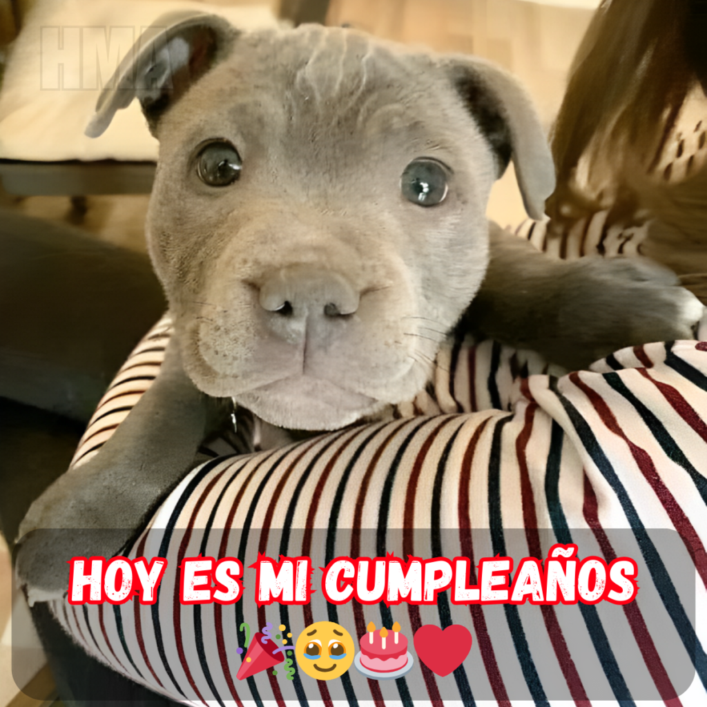 ¡Te Deseo un Cumpleaños Cálido con Infinita Alegría! 💫💖