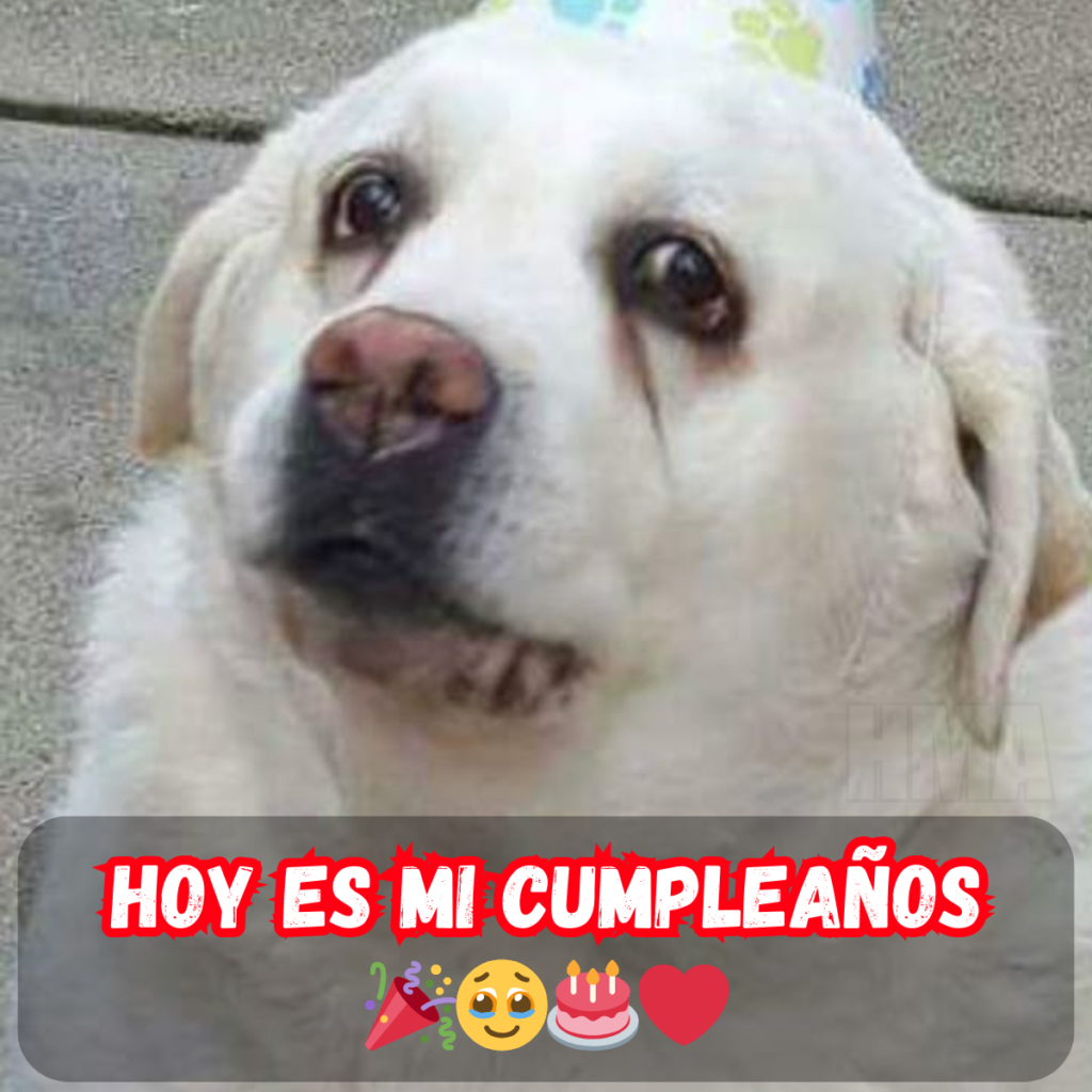 “¿Cumpleaños feliz? Creo que tendré que celebrarlo sola 😆🎉” – hmai