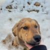 A Loving Home and a Heartwarming Reunion Follow a Lonely Birthday