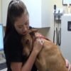 A dog who was saved just before being put down gains notoriety for giving the most tender embraces.