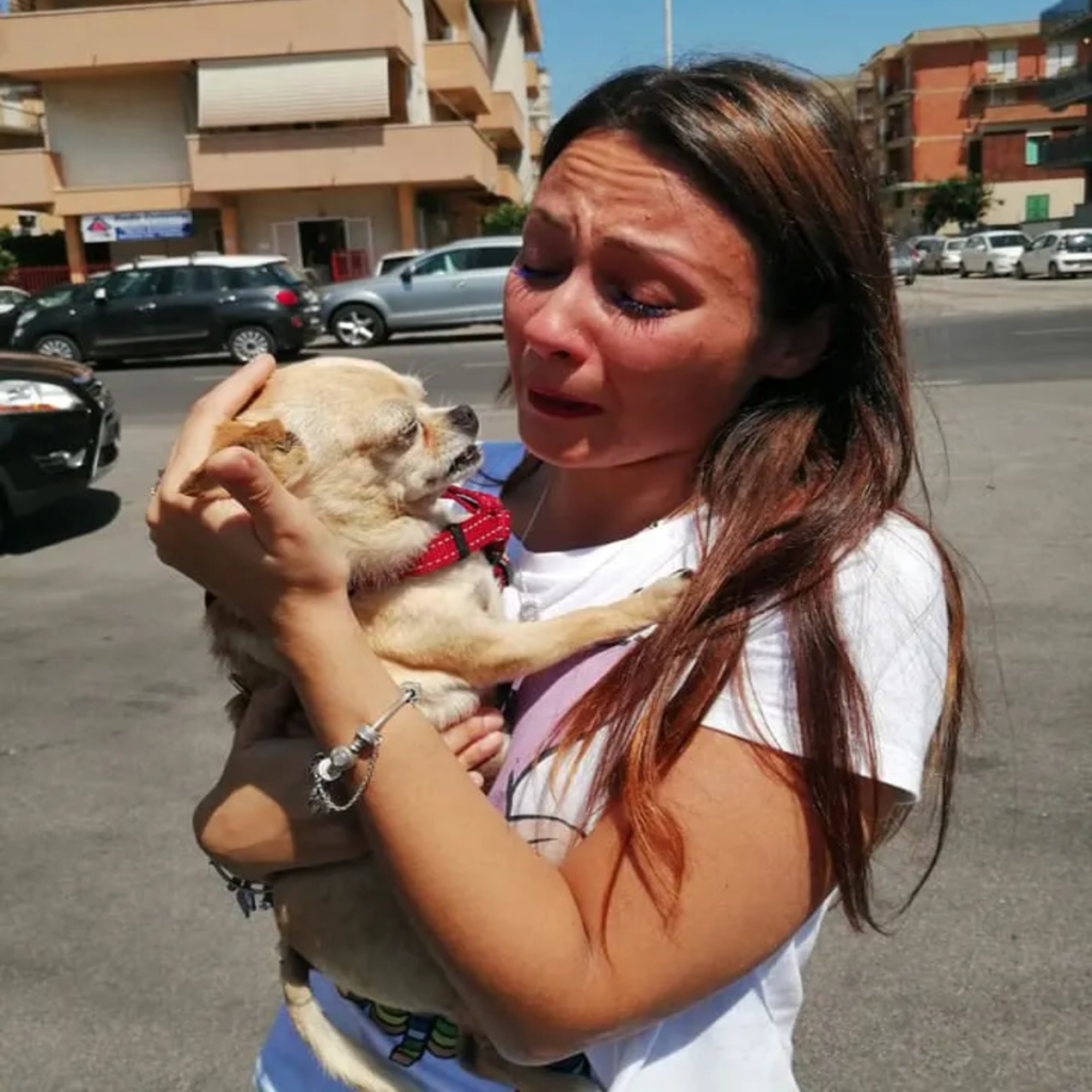 Little Chihuahua Happily Reunites with Her Family After Eight Years Apart ‎