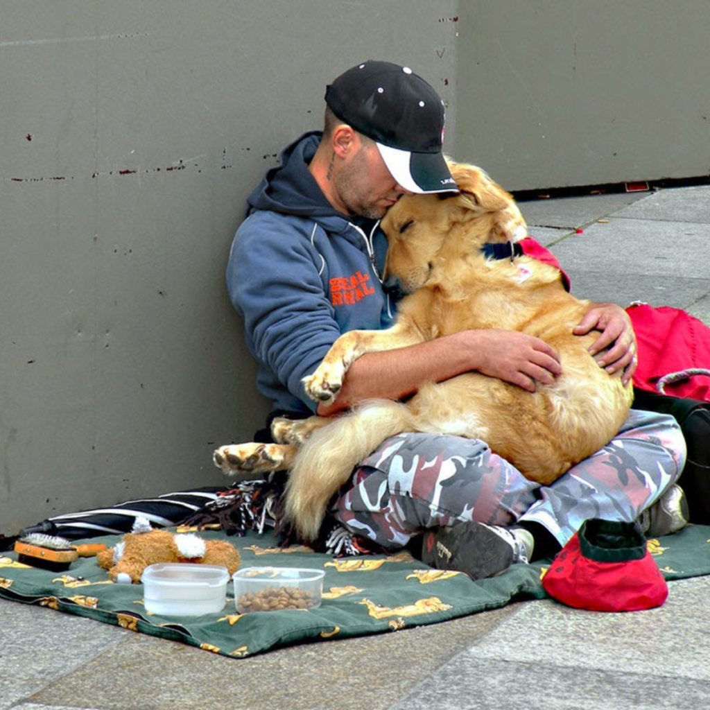 Millions of people are moved by the unwavering devotion of a dog that never leaves its homeless owner's side.