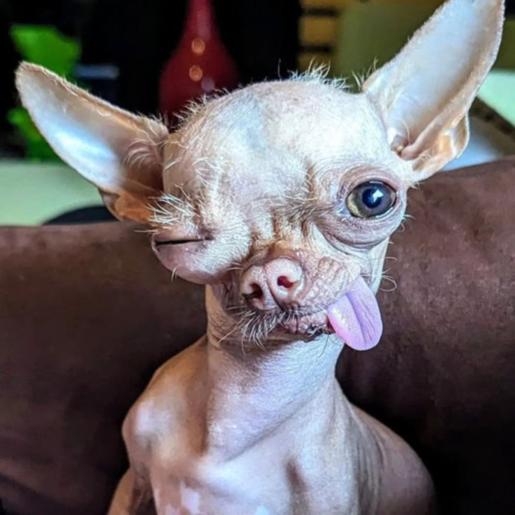 My birthday is today, but no one has ever blessed me because my mouth is frozen.