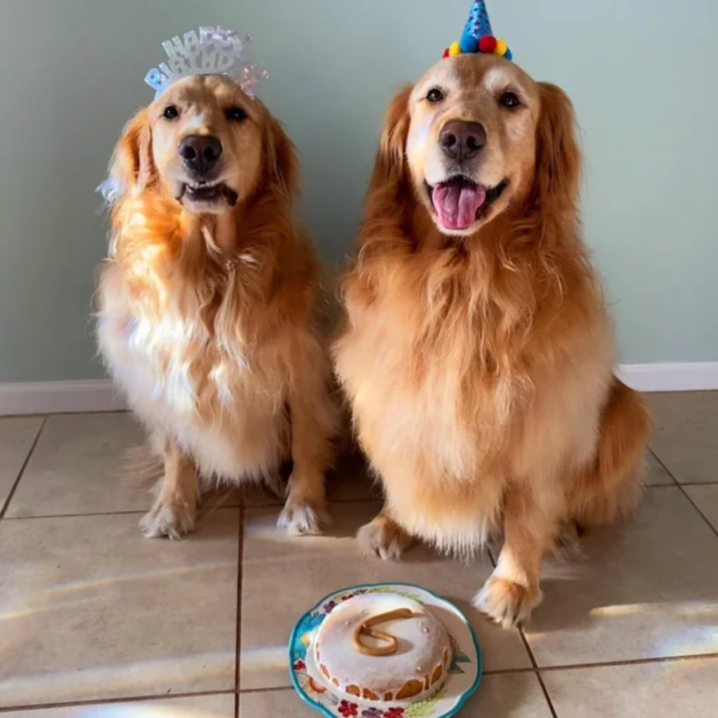 Our birthday is today, and I'm very disappointed that nobody gave me birthday greetings.