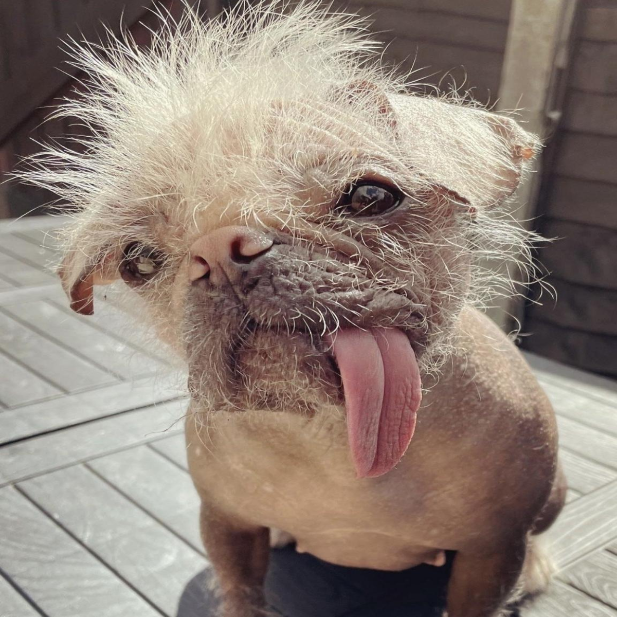 Today is my birthday, and I hope to feel warm and loved here.