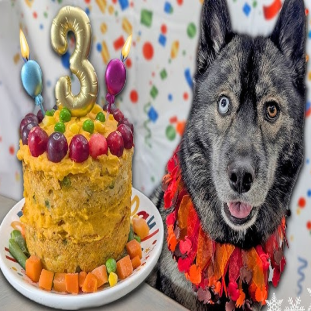 Today is my birthday, but no one seems to notice me, which makes me very sad.