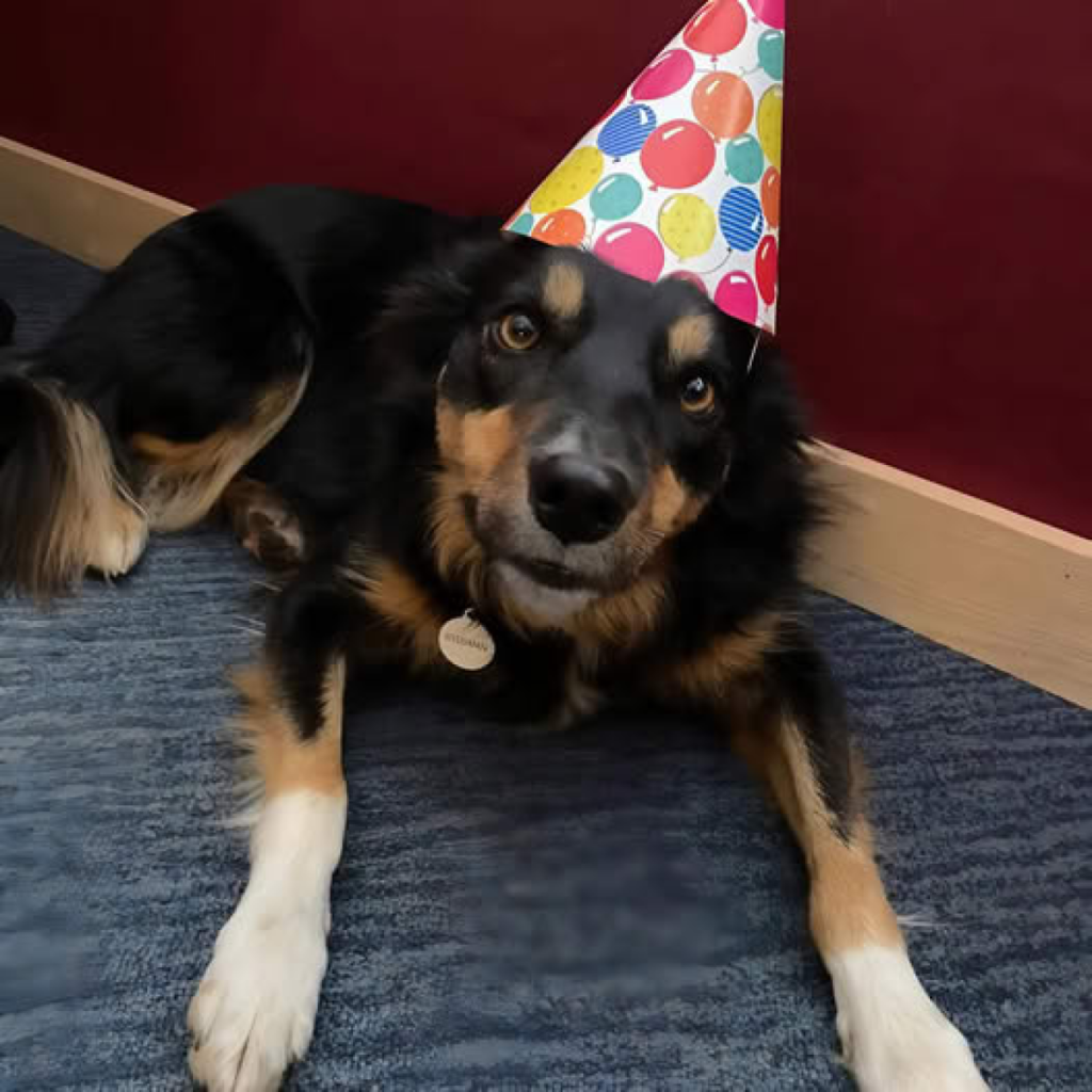 My birthday feels empty without him. I’m thinking a little wish could brighten the day. ‎dvh