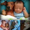 The Inspirational Tale of an Unbreakable Bond between Ben and Frankie.dvh