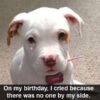 I’m disappointed that nobody appears to be noticing that it’s my birthday today.-huy678d