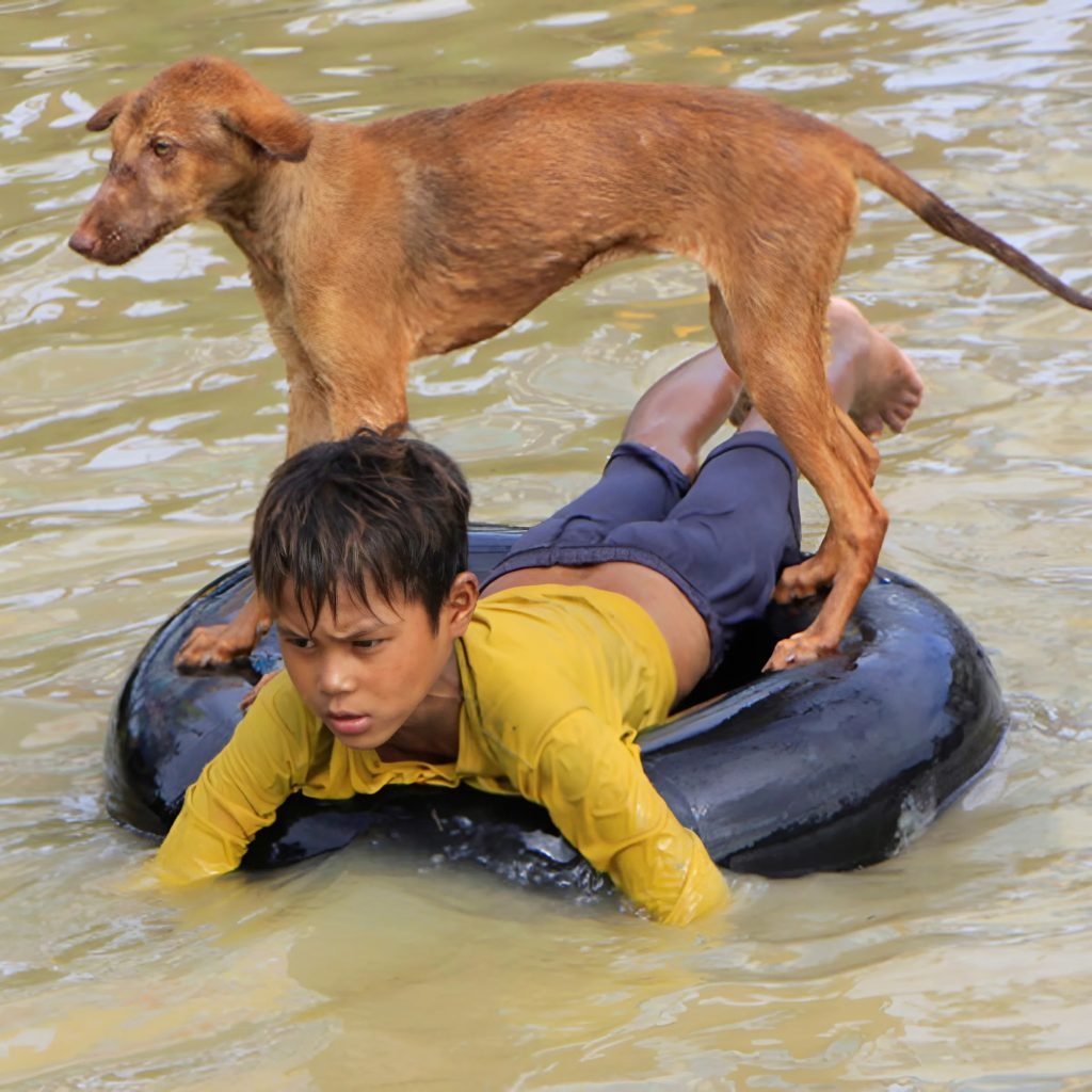 A 7-Year-Old Shows Compassion by Caring for a Homeless Dog in This Adorable Story of a Young Child ‎