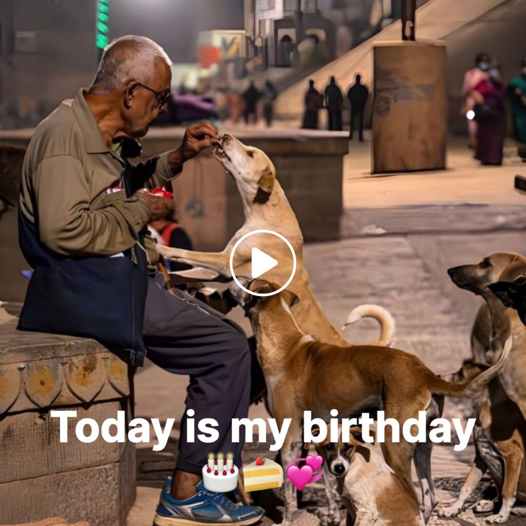 A Lonely Stray During Tết: A Tale of a Beggar Dog