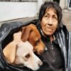 A homeless woman cannot break her loyalty by refusing the shelter's comfortable bed because she values ​​her six dogs more than her personal comfort.