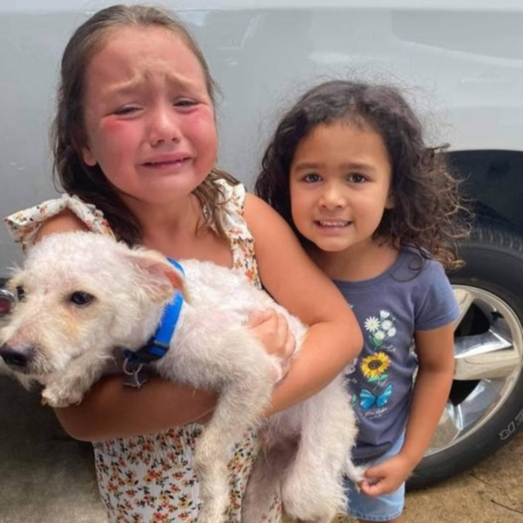 A young boy, full of happiness, embraces his long-lost dog, and their touching reunion touches everyone in the room.