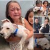 Abrumado por la emoción, un niño pequeño envuelve con sus brazos a su perro perdido hace mucho tiempo cuando regresa a casa; su lloroso reencuentro es un hermoso momento de pura alegría y amor.