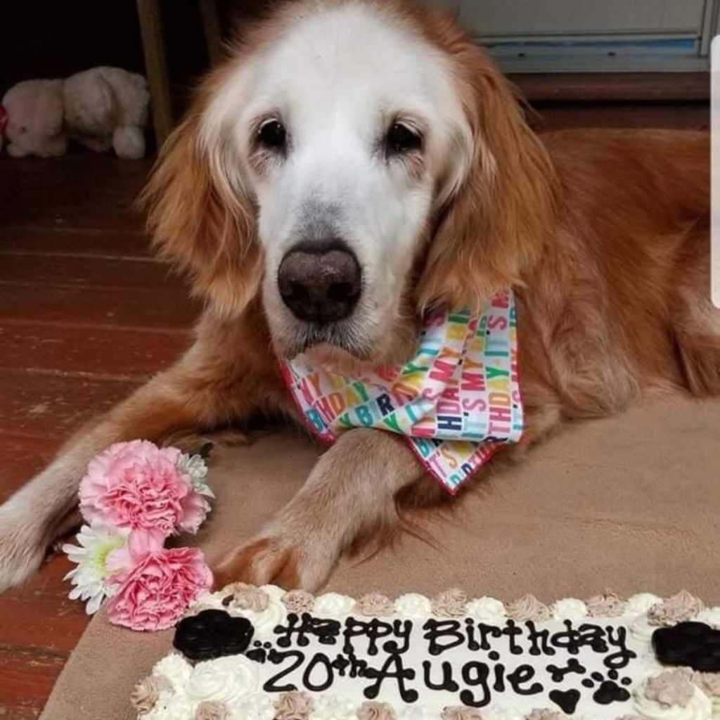An Act of Kindness Illuminates a Birthday