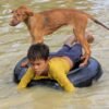 An amazing act of compassion by a 7-year-old boy rescuing an abandoned dog makes him a hero.