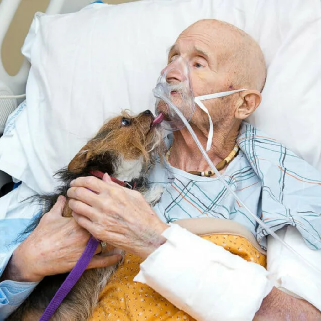 An emoti0nal farewell to his beloved dog fulfills a terminally sick veteran's heartbreaking final request.