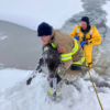 An extraordinary act of bravery and compassion is diving into a frigid lake to save a defenseless dog.