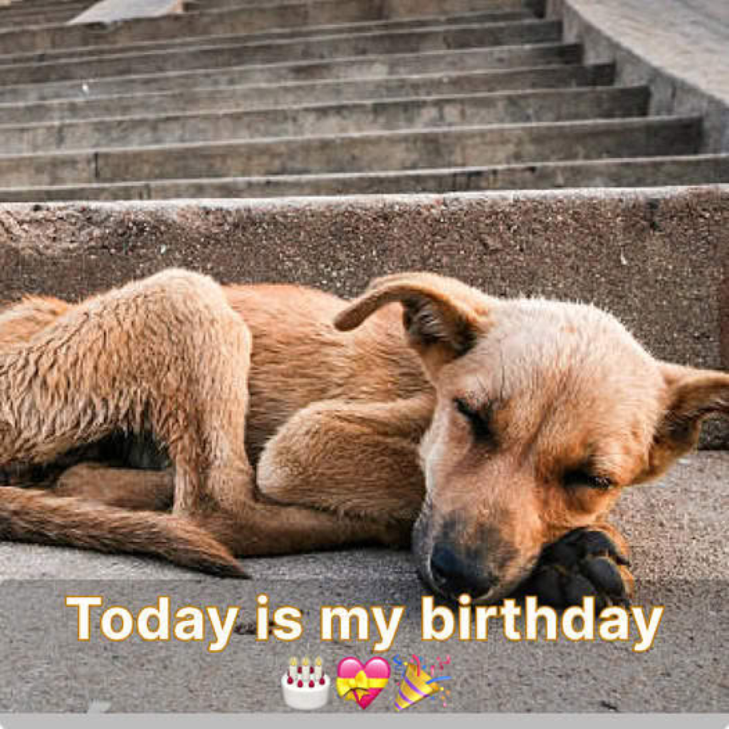It's my birthday, but I can't help feeling down—no one has wished me yet.dvh