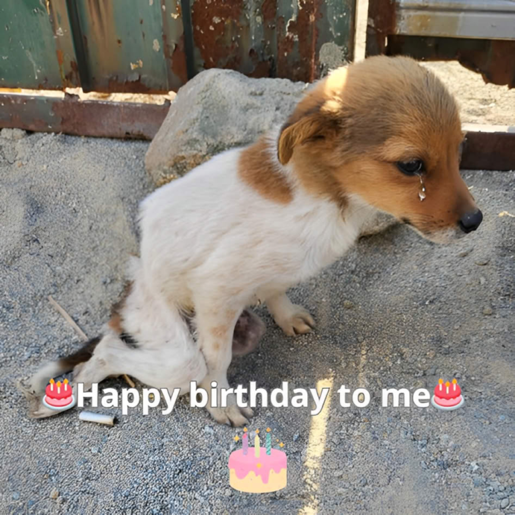 It’s my birthday, but I feel sad because no one has remembered to wish me a happy birthday-pvth