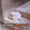 La Soledad de un Día Sin Felicitaciones.dvh