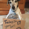 My 17th Birthday: A Day of Excitement, Hope, and Anticipation for Warm Wishes-pvth