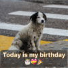My Birthday Is Here, but the Silence of No Well-Wishes Hits Hard Despite My Flaws.dvh