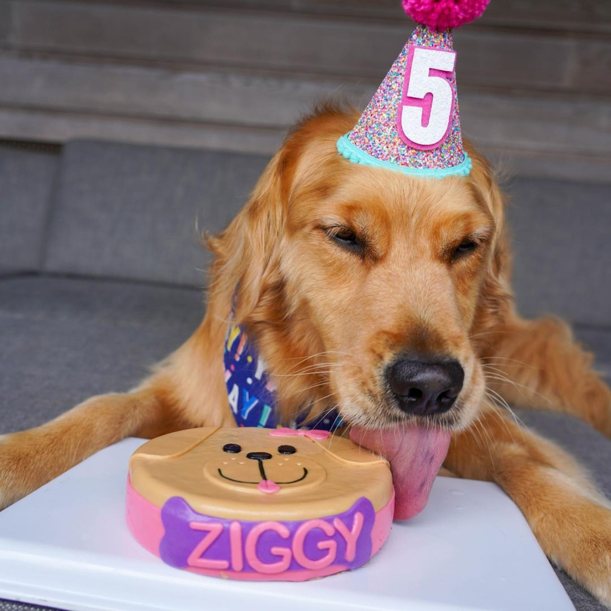 My birthday comes and goes without a single wish, leaving me feeling forgotten.