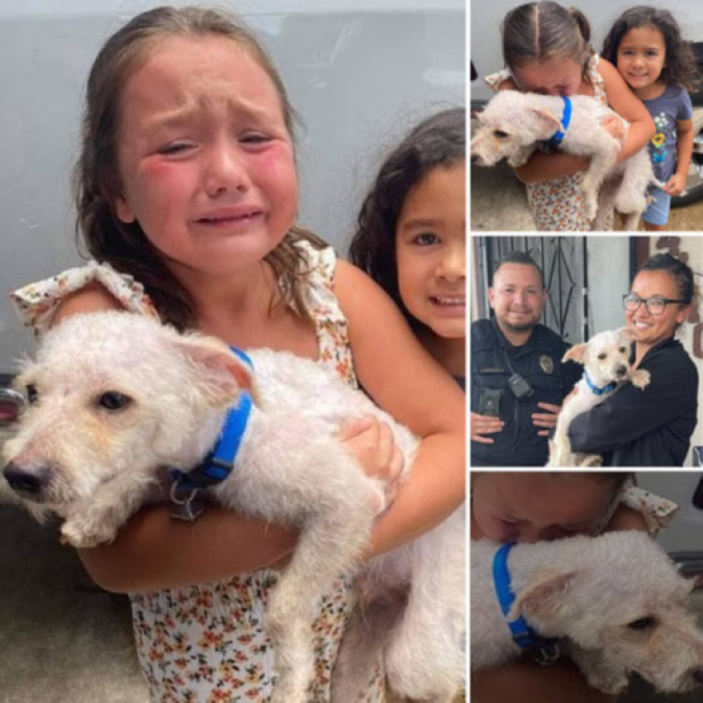 Overwhelmed with joy, a young boy embraces his long-lost dog as it finally finds its way home, filling the air with tears of happiness and heartfelt reunion.dvh