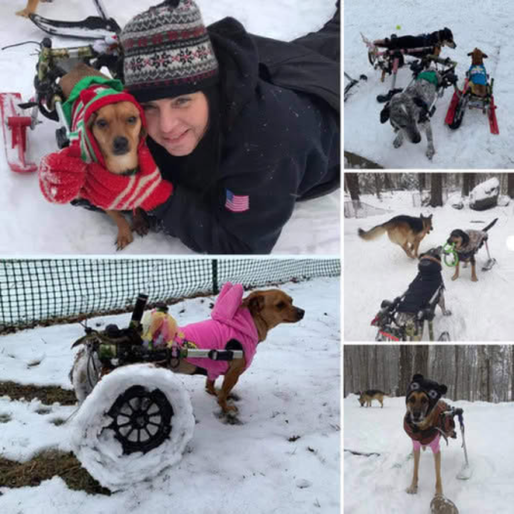 Rescuing five dogs left to suffer in the icy cold, he provided them with a safe haven and a fresh start filled with care and joy-pvth