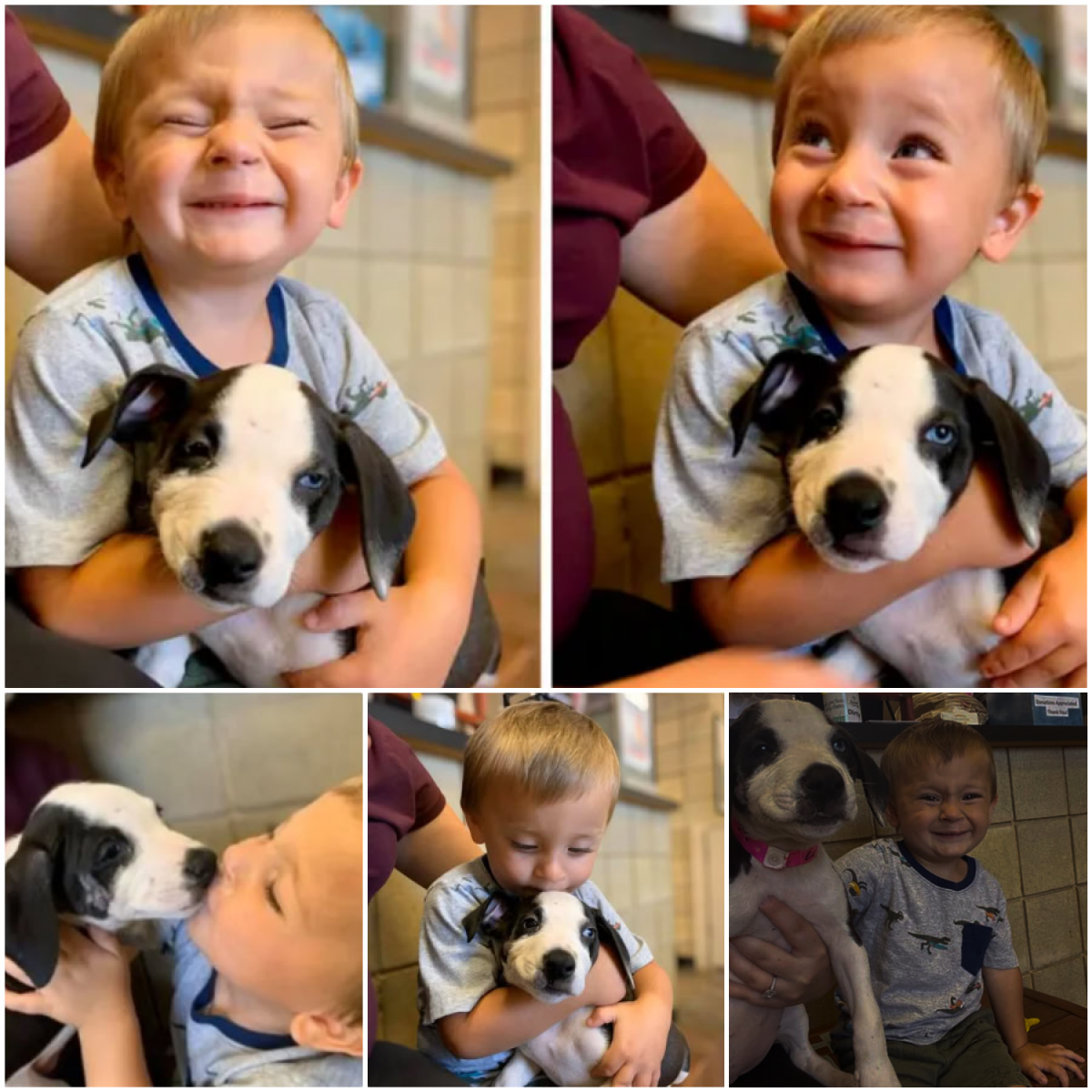 The Heartwarming Tale of a Boy and His Dog Facing the Challenge of a Cleft Palate Together-pvth