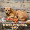 Today is my birthday, and despite hoping for some cheer, I’m feeling really low because no one has acknowledged it.dvh