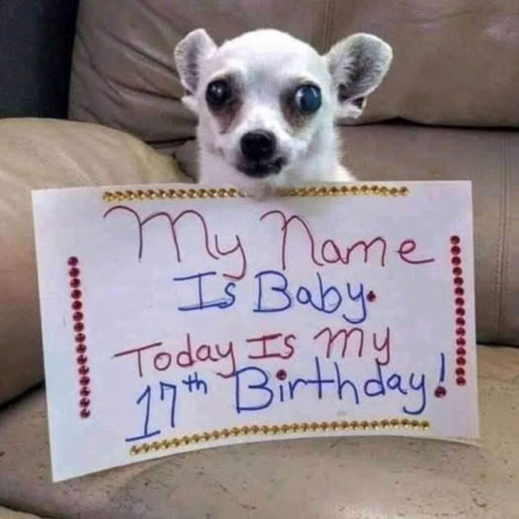 Today is my birthday, but I haven’t received any blessings yet. I might start to cry.dvh