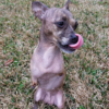 Today is my birthday, just because I have two legs, everyone forgets. Happy birthday to you! ‎