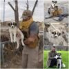 Un soldado salva a un perro callejero de un pueblo devastado por la guerra, ofreciéndole un futuro lleno de amor y seguridad.