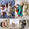 Una vez abandonado por su dueño anterior, este perro ahora prospera en un hogar cálido, querido por un niño de buen corazón que lo colma de amor incondicional.