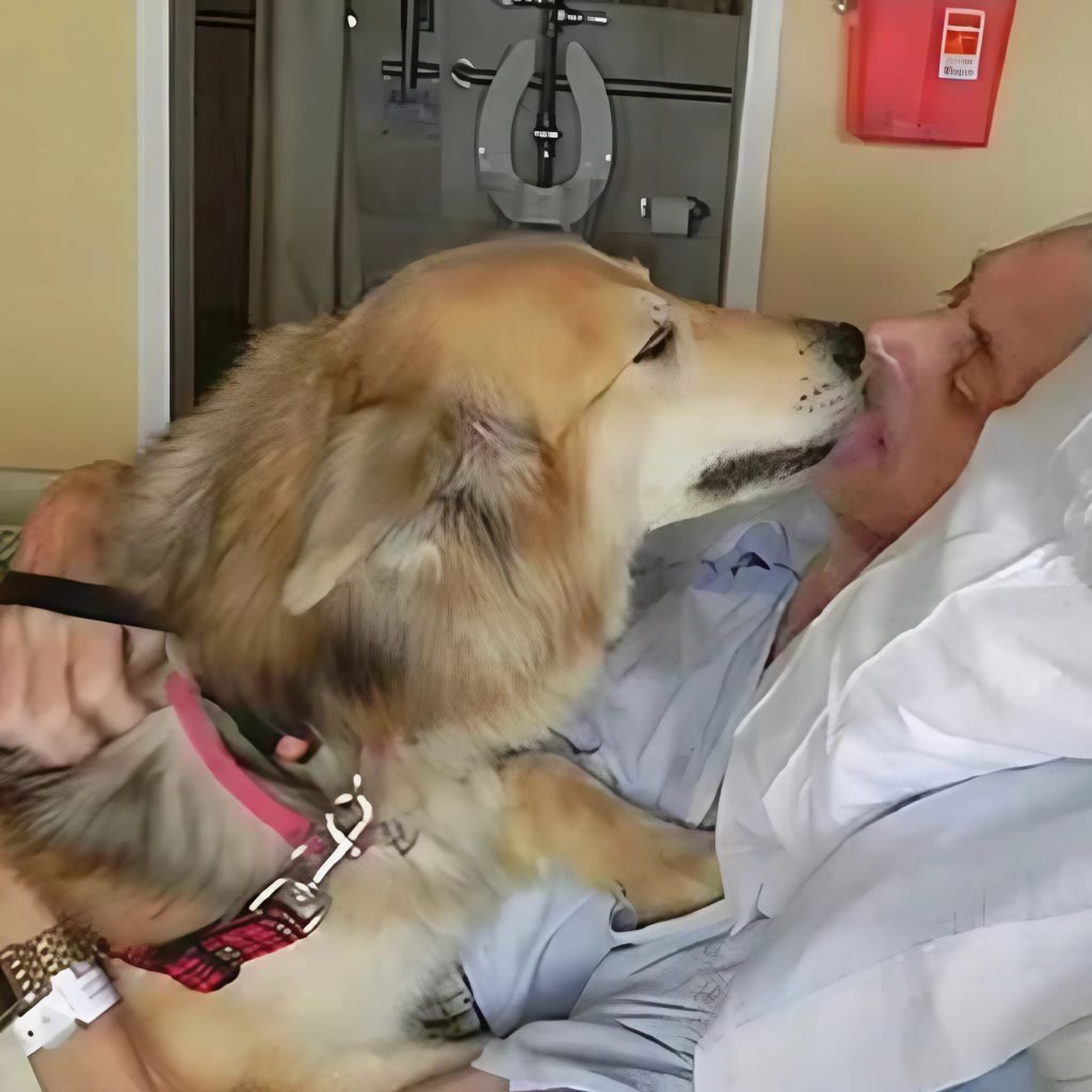 Until his final breath, the devoted dog remained by his sick owner's side, tenderly touching him to provide warmth.